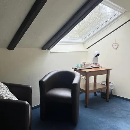 ホテル Historischer Kaisermuehle - & Restaurant Zentrum フィーアゼン