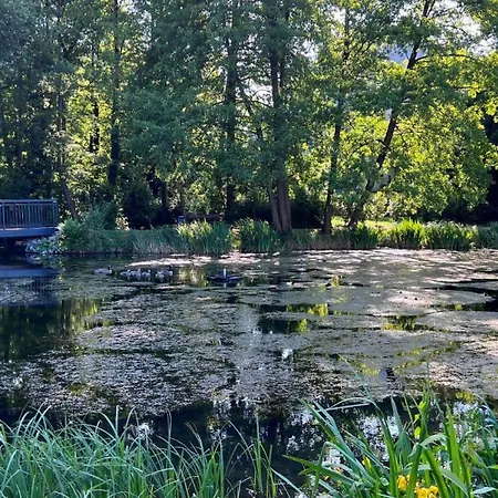 Historischer Kaisermuehle - & Restaurant Zentrum 酒店