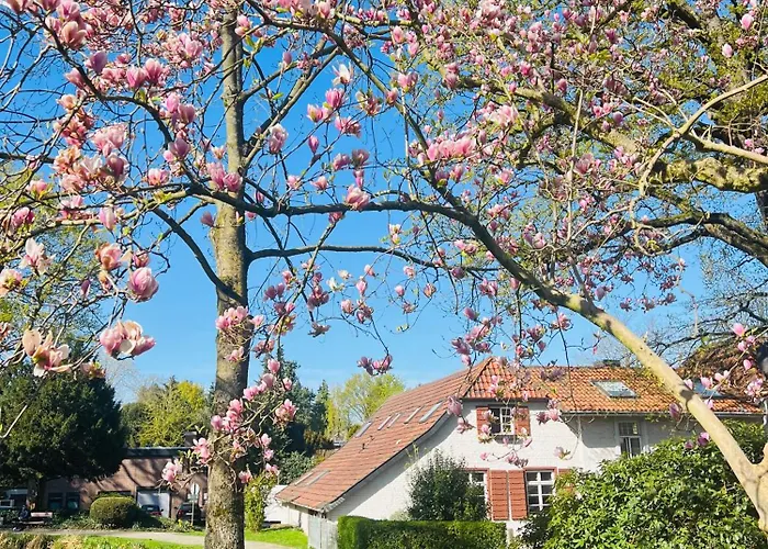 Otel Historischer Kaisermuehle - & Restaurant Zentrum Viersen